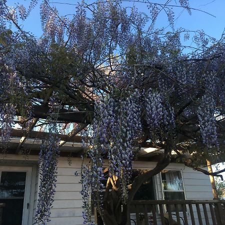 Wisteria Vine Cottage Monticello Dış mekan fotoğraf