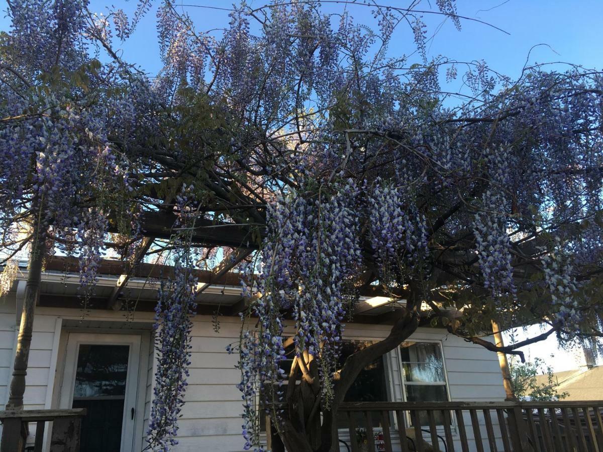 Wisteria Vine Cottage Monticello Dış mekan fotoğraf